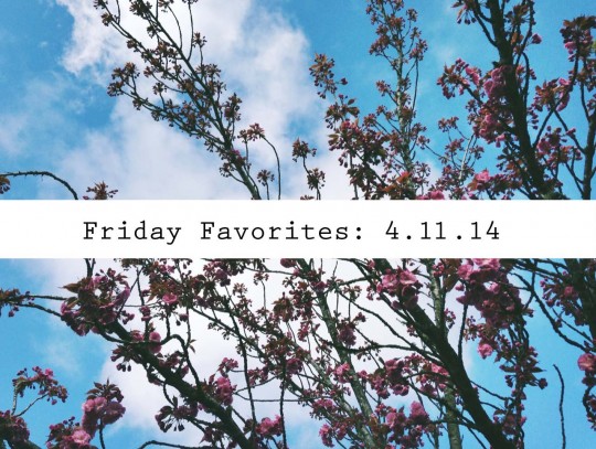friday favorites | rosemarried.com