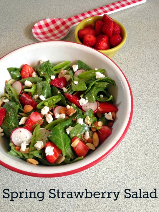 spring strawberry salad | rosemarried.com