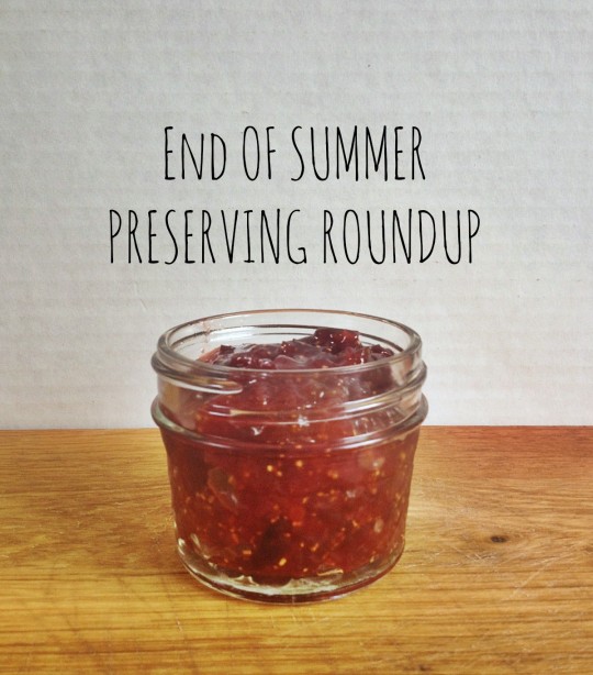end of summer preserving guide | rosemarried.com
