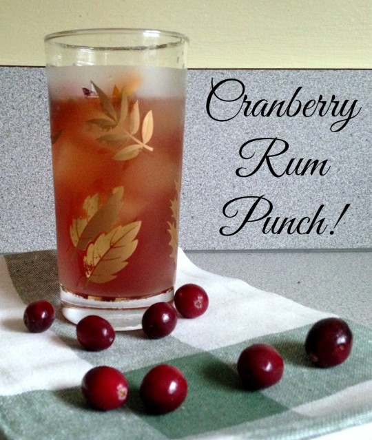cranberry rum punch | rosemarried.com
