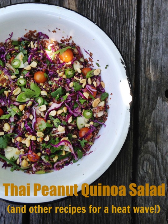 thai peanut quinoa salad | rosemarried